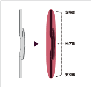 Tri-Fix3点固定方式により、眼内で優れた安定性を実現