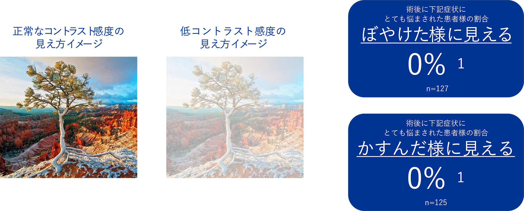 実証された患者様の見え方の質