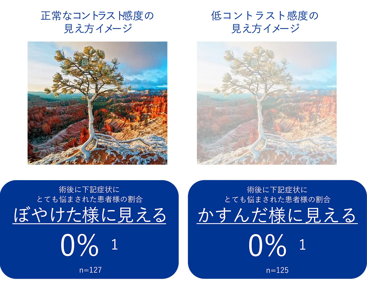 実証された患者様の見え方の質